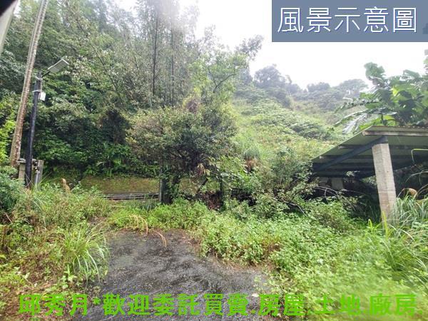 石門農地-11