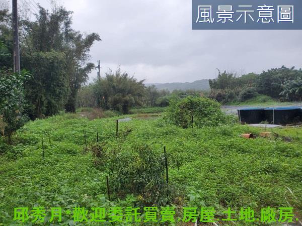石門農地-4