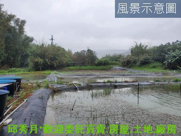 石門農地-5