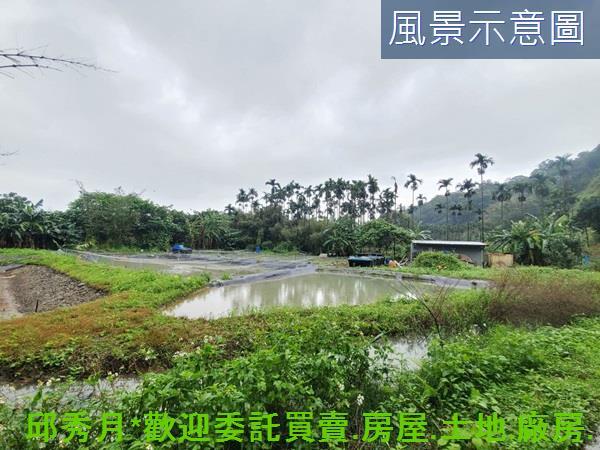 石門農地-6