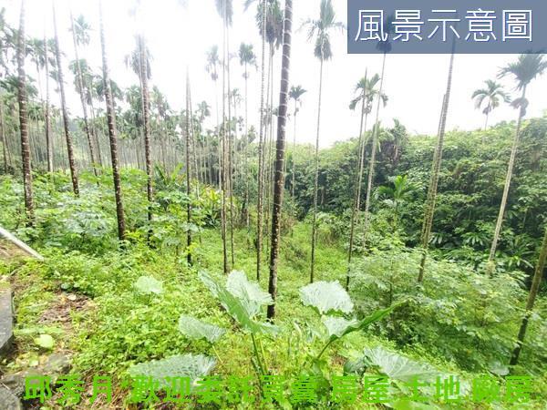 石門農地-7