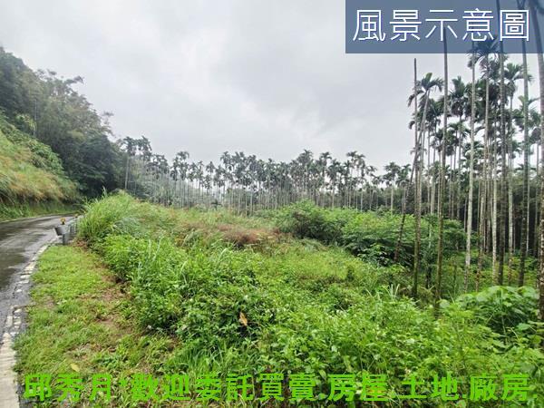 石門農地-8