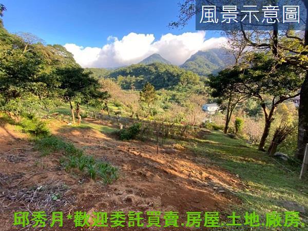 三芝農地-10