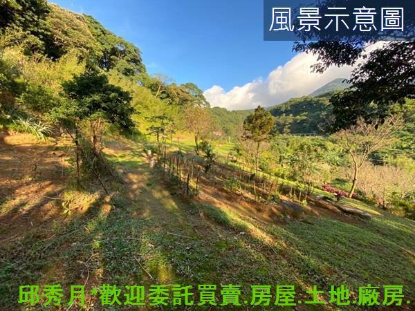 三芝農地-9