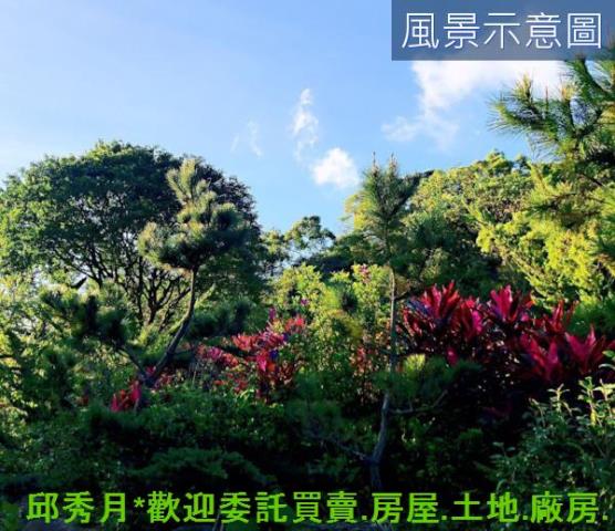 三芝農地-2