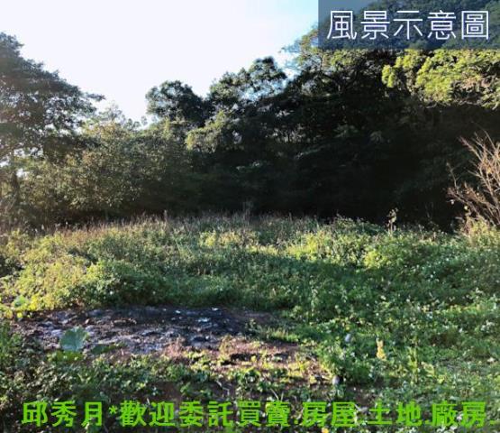 三芝農地-5