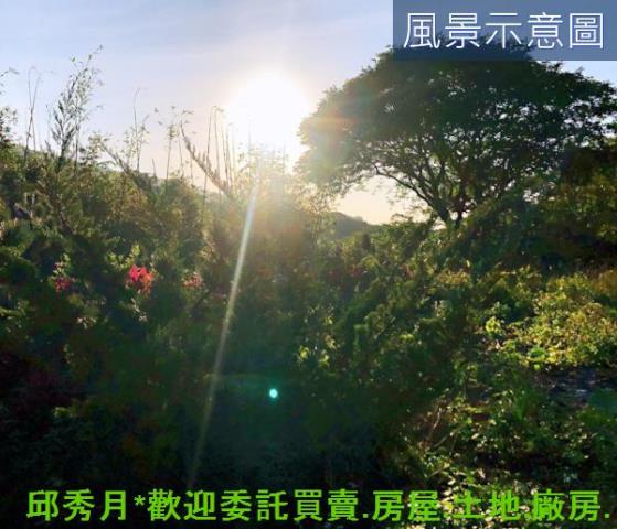 三芝農地-6