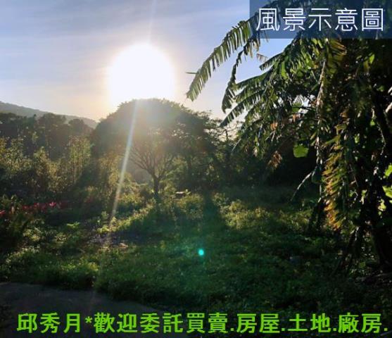 三芝農地-7