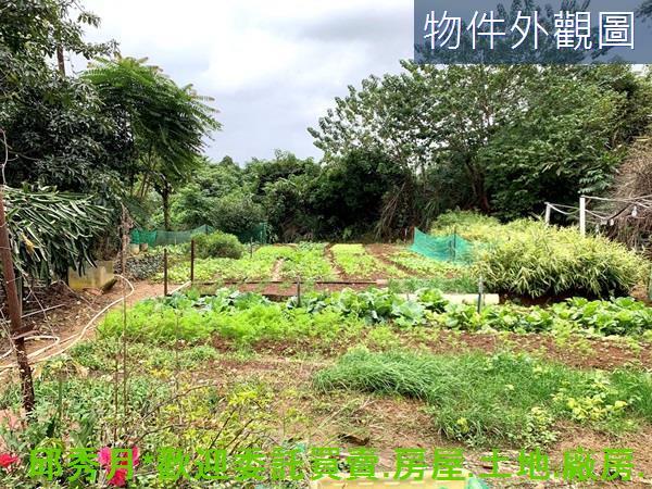 新北淡水農地-1