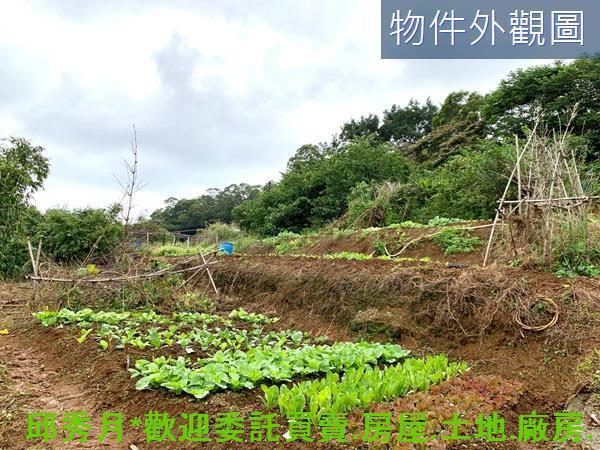 新北淡水農地-2