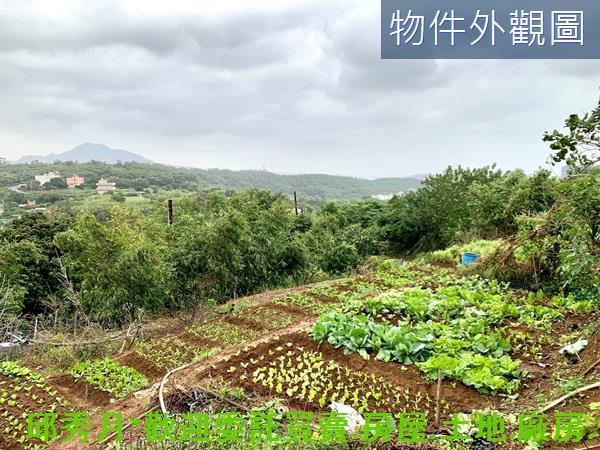 新北淡水農地-3