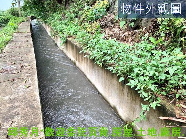 新北淡水農地-4