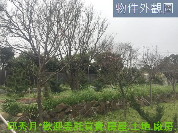 三芝農地-11