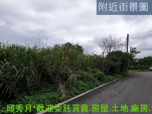 三芝農地-2