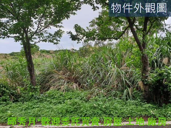 三芝農地-4
