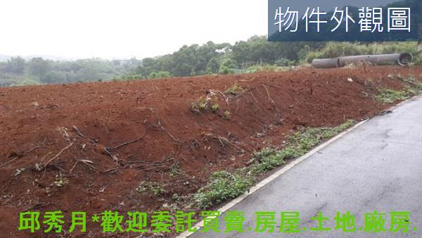 淡水農地-3