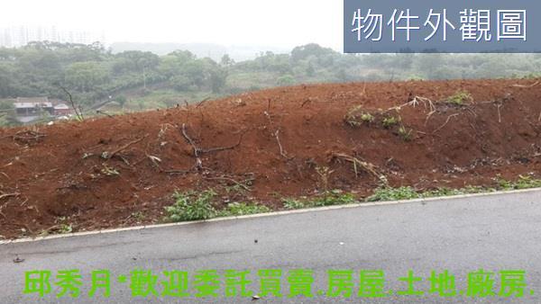 淡水農地-4
