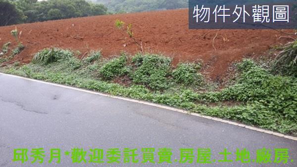 淡水農地-6