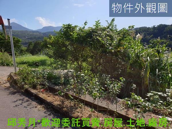 三芝農地-1