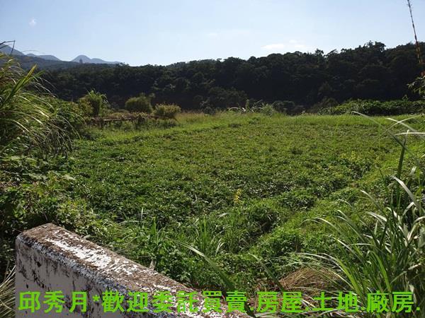 三芝農地-6