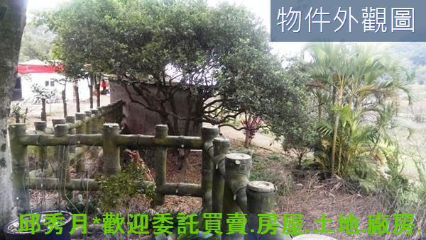 三芝農地-10