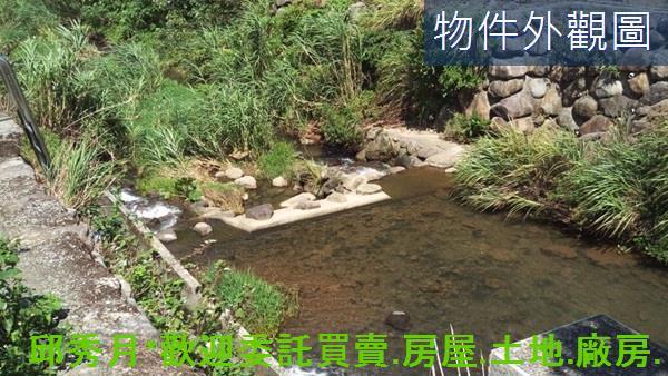三芝農地-13