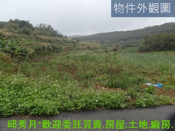 三芝農地-2