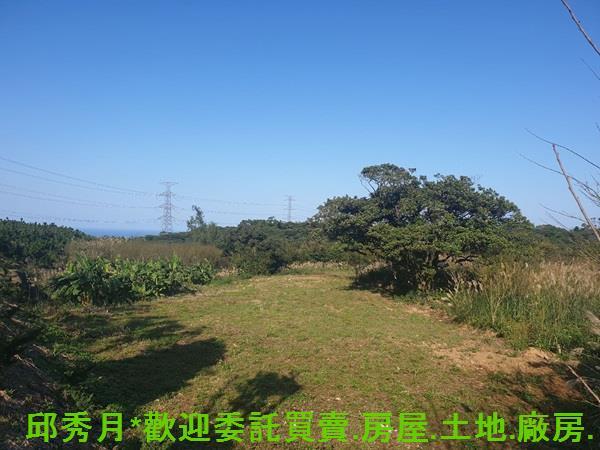 三芝農地-4