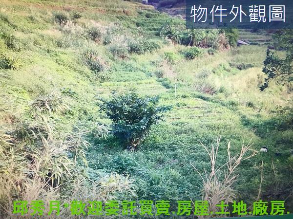 新北農地-2