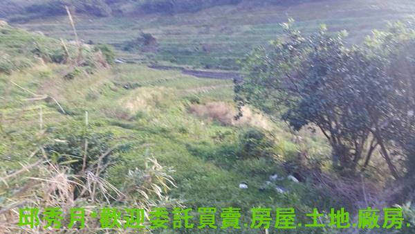 新北農地-4