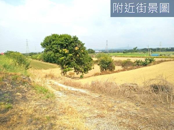 台南農地-4