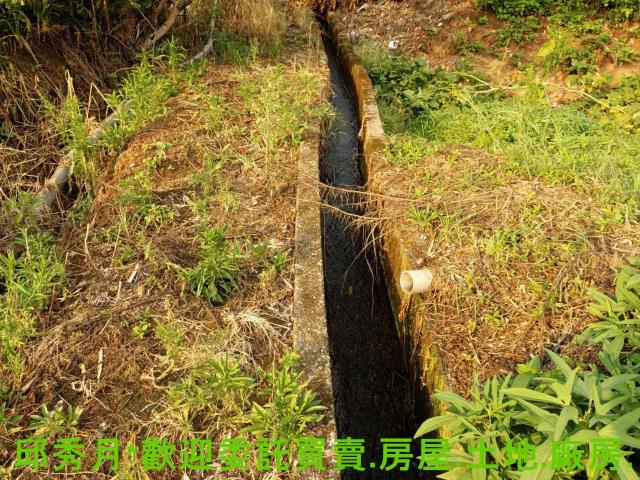 淡水農地-2