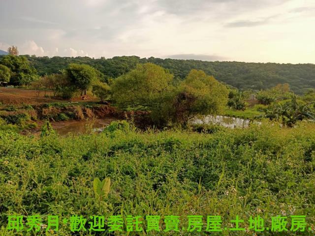 淡水農地-3
