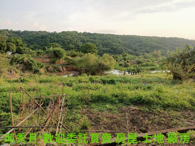 淡水農地-7