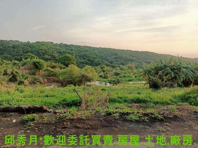 淡水農地-8
