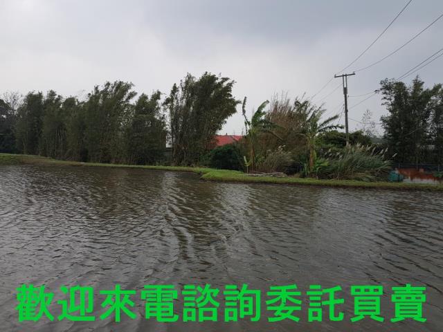 新北淡水農地-1