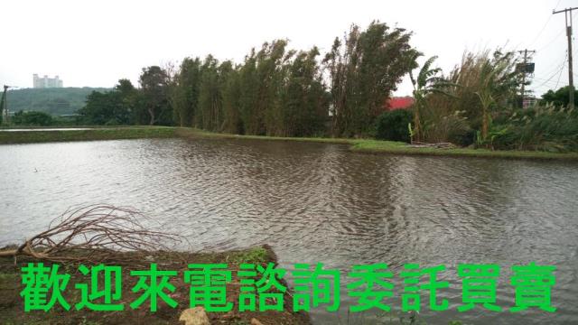 新北淡水農地-2