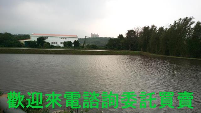 新北淡水農地-3
