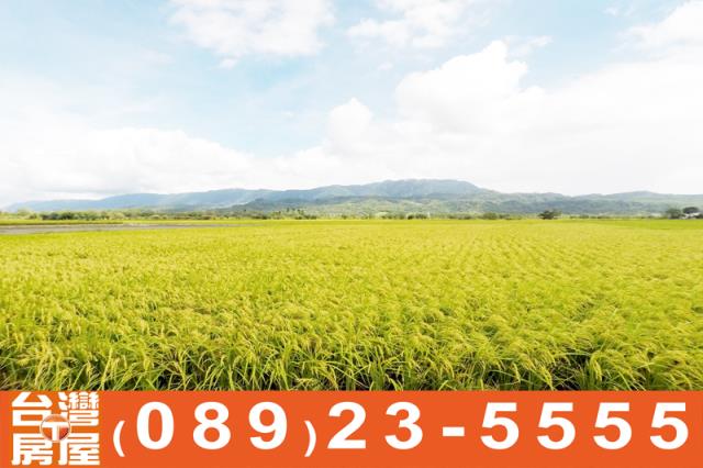 關山農地-11