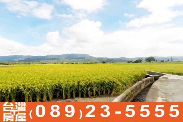 關山農地-4