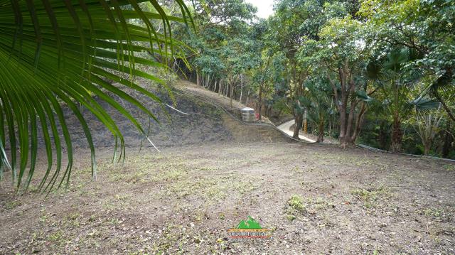 新竹北埔農地-9