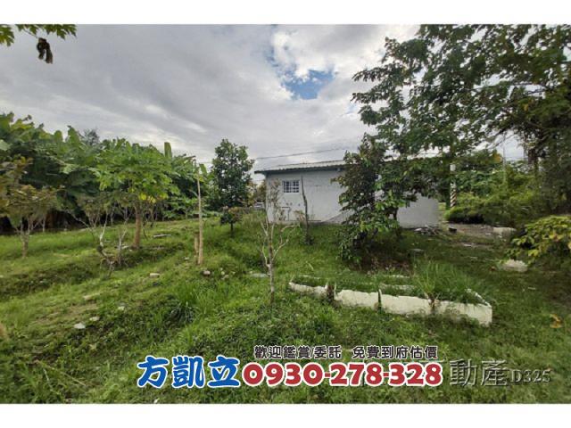 花蓮農地-3