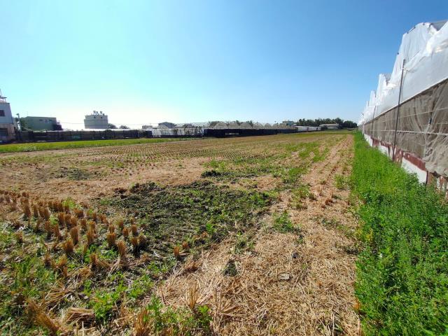 大村農地-9