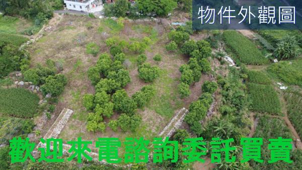 新北三芝農地-1