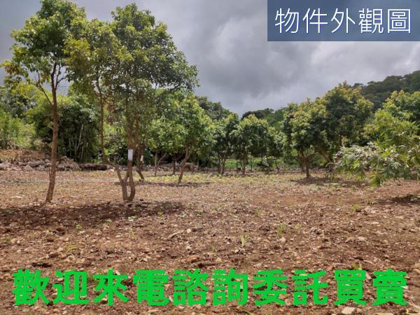 新北三芝農地-4