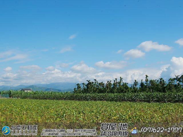 高雄美濃農地-11