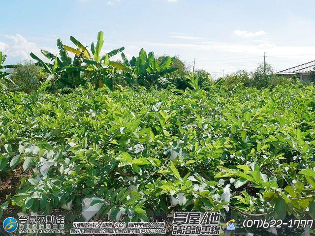 高雄美濃農地-12