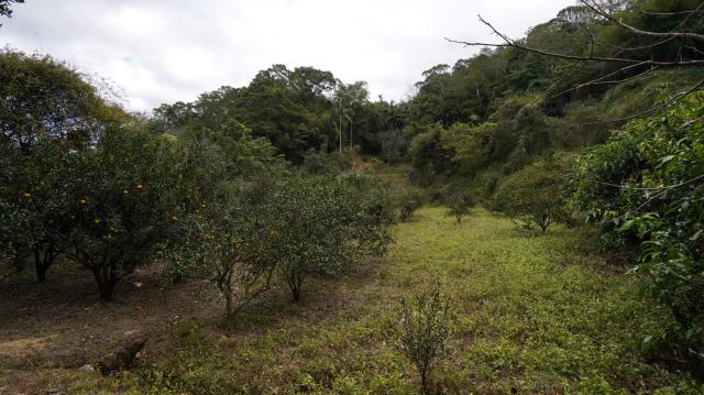新竹峨眉農地-9