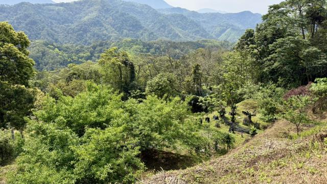 新竹北埔農地-10
