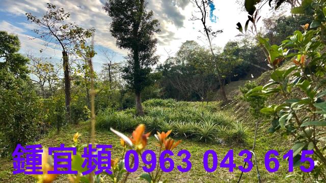 新竹北埔農地-1